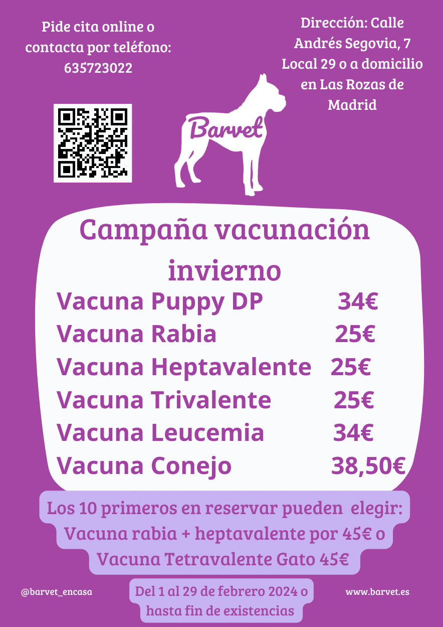 Campaña Vacunación veterinaria Invierno – Febrero 2024